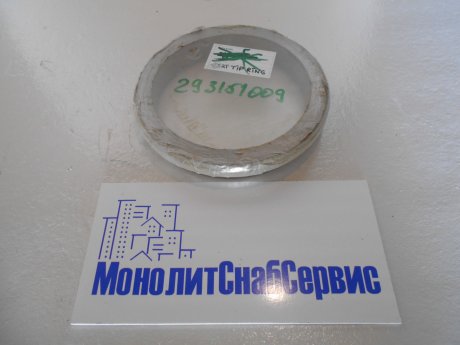 Шиберное кольцо PUTZMEISTER (293151009)